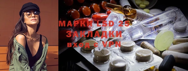 прущие грибы Карталы
