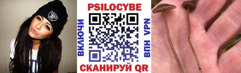 MEGA вход  Архангельск  Псилоцибиновые грибы прущие грибы 